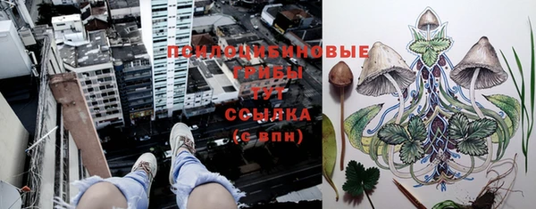 альфа пвп Верхнеуральск